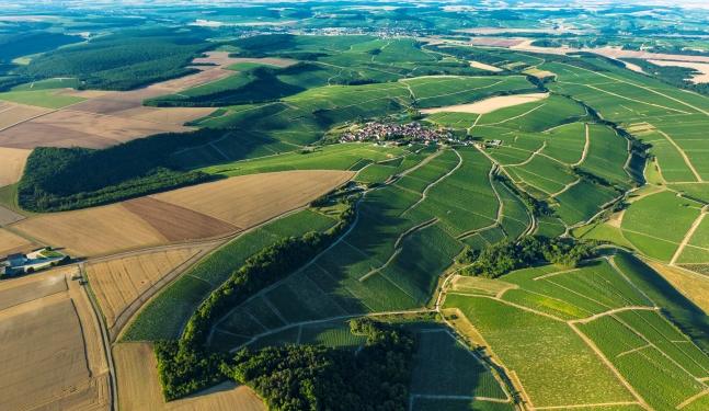雷博莱加尔/Les beauregards,居西丘/Côte de Cuissy